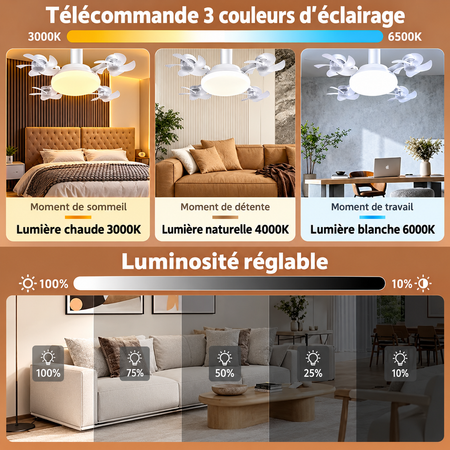 Ventilateurs 4 en 1